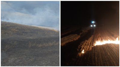 Стало відомо, скільки пожеж сталося у природних екосистемах Донеччини від початку року