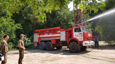 Ліси Херсонщини: після пожеж відновлено майже 400 гектарів цього року