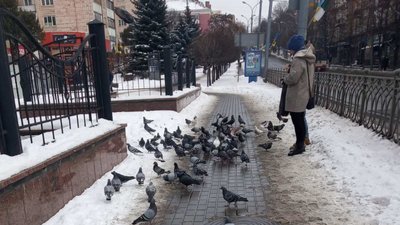Сніг, дощ, ожеледиця: синоптики розповіли про погоду на Рівненщині у вихідні та після