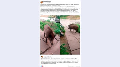 Допис чернігівки Олени Лазаренко Допис чернігівки Олени Лазаренко