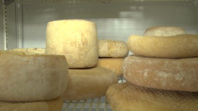 Варити сир почала на кухні: на Донеччині переселенка відкрила власну сироварню Варити сир почала на кухні: на Донеччині переселенка відкрила власну сироварню
