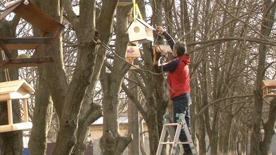 "Пташина їдальня": як у черкаських школярів виховують турботливе ставлення до пернатих