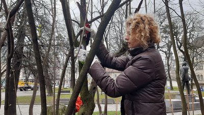 У Львові обрали міських садівників. Що вони робитимуть