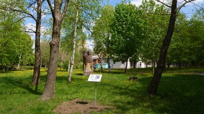 На Житомирщині студенти та викладачі університету розкривають дендрологічні таємниці міського парку На Житомирщині студенти та викладачі університету розкривають дендрологічні таємниці міського парку