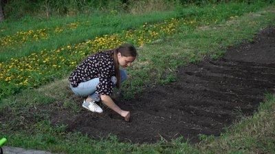 Розчищають територію та сіють насіння: у Полтаві створюють сад-город Розчищають територію та сіють насіння: у Полтаві створюють сад-город