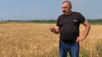На Черкащині очікують вищий урожай озимих культур, ніж минулого року