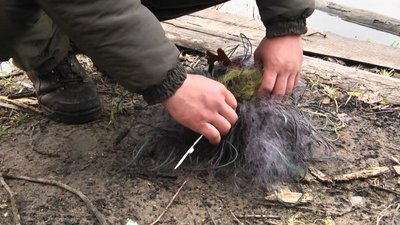 На Житомирщині з першого квітня починає діяти нерестова заборона на вилов риби На Житомирщині з першого квітня починає діяти нерестова заборона на вилов риби