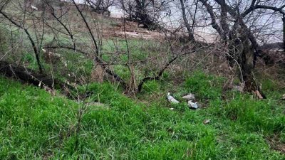 У Миколаєві відбувається акція з прибирання пляжу: як долучитися У Миколаєві відбувається акція з прибирання пляжу: як долучитися