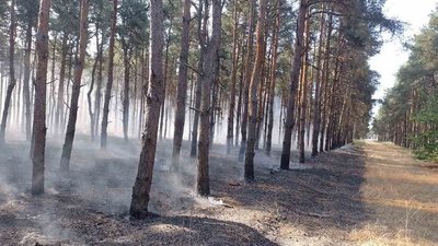 Через обстріли на Миколаївщині сталася пожежа в лісовому урочищі