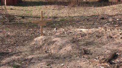 Чекають тижнями на свідоцтво про смерть: як ховають людей у Чернігові? Чекають тижнями на свідоцтво про смерть: як ховають людей у Чернігові?