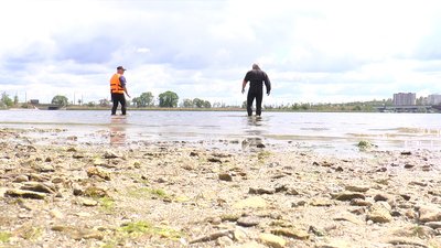 Миколаївські пляжі та зони відпочинку готують до літнього сезону Миколаївські пляжі та зони відпочинку готують до літнього сезону