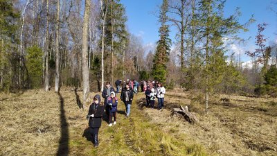 У Богородчанському лісництві прикарпатці й переселенці посадили понад 1 700 саджанців модрини