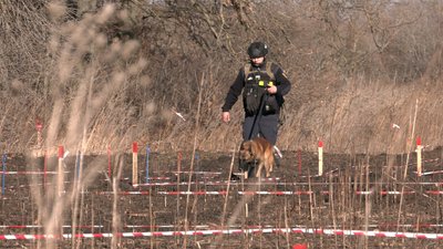 сапер з собакою харків сапер з собакою харків