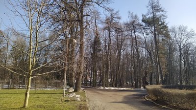 Львівський парк пропонують визнати природоохоронною зоною