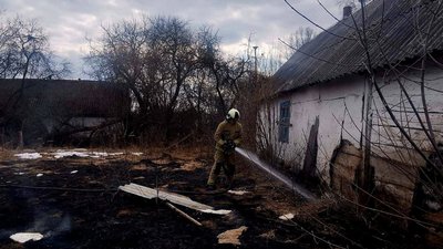 За добу на Житомирщині сталося 12 загорянь сухої рослинності