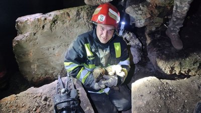 На Одещині врятували цуценят, які застрягли під залізобетонними блоками