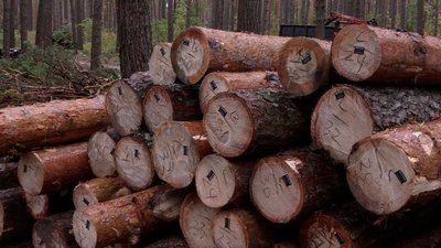 Безкоштовні дрова не для всіх: які категорії населення не можуть отримати дрова в Новгород-Сіверській громаді Безкоштовні дрова не для всіх: які категорії населення не можуть отримати дрова в Новгород-Сіверській громаді