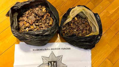 Психотропи та бурштин: у жителя Рівненського району під час обшуку вилучили заборонені речовини Психотропи та бурштин: у жителя Рівненського району під час обшуку вилучили заборонені речовини
