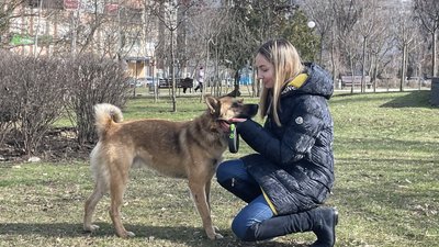 Валентина та пес Пірат, 21 лютого 2024 року. Валентина та пес Пірат, 21 лютого 2024 року.
