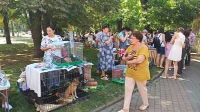 У Вінниці вдевʼяте організували "ХвістФест" У Вінниці вдевʼяте організували "ХвістФест"