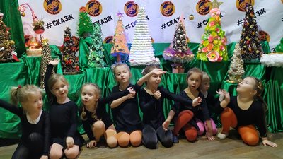 Виставку патріотичних ялинок у режимі онлайн відкривають житомиряни