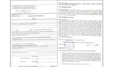 Керівника районної виконавчої служби Запоріжжя звинувачують у нападі та шахрайстві Керівника районної виконавчої служби Запоріжжя звинувачують у нападі та шахрайстві