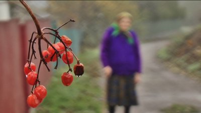 День пам’яті жертв Голодомору День пам’яті жертв Голодомору