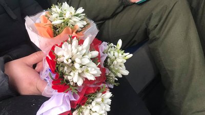 проліски