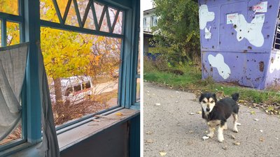 херсонщина херсонщина