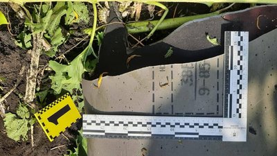 На Харківщині протиповітряна оборона 3 серпня збила, ймовірно, ракету "С-300" — поліція