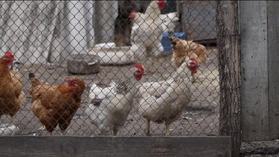 Як живуть у Манвелівці за 50 км від лінії фронту Як живуть у Манвелівці за 50 км від лінії фронту