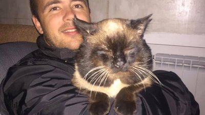 Серед загиблих в авіакатастрофі в Ірані – старший бортпровідник родом з Чернігівщини Серед загиблих в авіакатастрофі в Ірані – старший бортпровідник родом з Чернігівщини