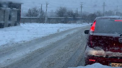 Снігопад на Львівщині