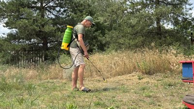 У Полтаві не встигають боротись з амброзією