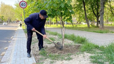 "Дерева та листя — це наші легені". Історія 82-річного миколаївця, який садить дерева "Дерева та листя — це наші легені". Історія 82-річного миколаївця, який садить дерева