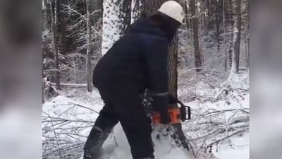 Впало зрізане дерево: на Черкащині загинув працівник приватного підприємства