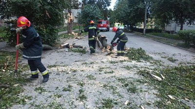 УВінниці через негоду падали дерева УВінниці через негоду падали дерева