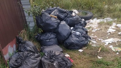 Стало відомо, чому після проведення ягідного фестивалю у Франківській громаді не прибрали сміття Стало відомо, чому після проведення ягідного фестивалю у Франківській громаді не прибрали сміття