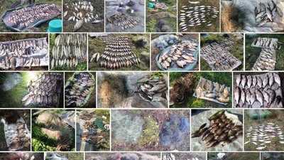 На Чернігівщині протягом 2023 року рибалки-порушники завдали збитків на понад 4 мільйони гривень