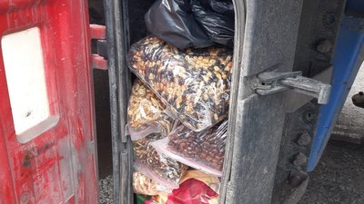 На Буковині намагались вивезти 60 кілограмів бурштину. У водія вилучили вантажівку та напівпричеп На Буковині намагались вивезти 60 кілограмів бурштину. У водія вилучили вантажівку та напівпричеп