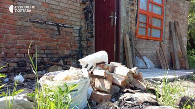 «Все тече в будинок»: як родина із Полтави проживає у згорілому будинку «Все тече в будинок»: як родина із Полтави проживає у згорілому будинку