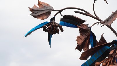 Присвятили безвісти зниклим і полоненим: у Кропивницькому встановили "Калину надії" Присвятили безвісти зниклим і полоненим: у Кропивницькому встановили "Калину надії"