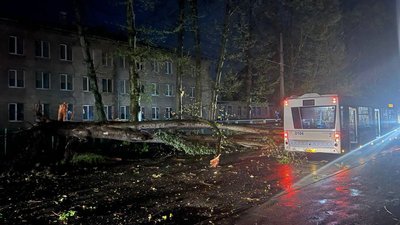 15 квітня негода у Запоріжжі: у місті ліквідовують наслідки
