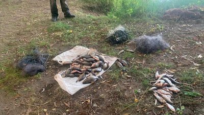 110 рибин та шкода на понад 176 тисяч гривень: на Чернігівщині рибалці повідомили про підозру 110 рибин та шкода на понад 176 тисяч гривень: на Чернігівщині рибалці повідомили про підозру