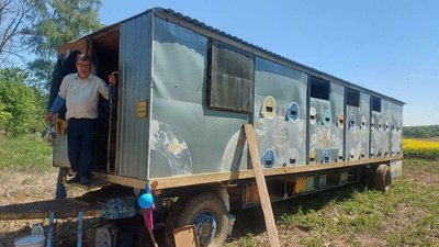Як повномасштабне вторгнення вплинуло на бджолярство на Хмельниччині