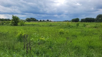 Заказник Річка Бурти