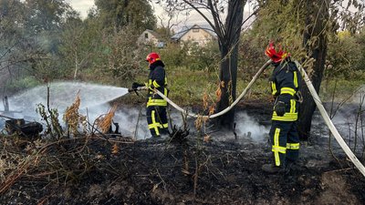 Горить сміття і сухостій: за добу на Черкащині сталося вісім пожеж