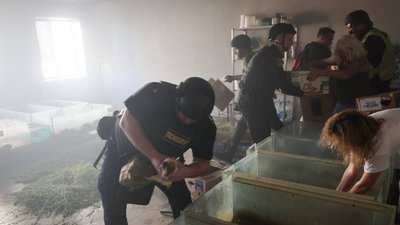 Рятувальники евакуюють тварин після влучання російського безпілотника по зоопарку