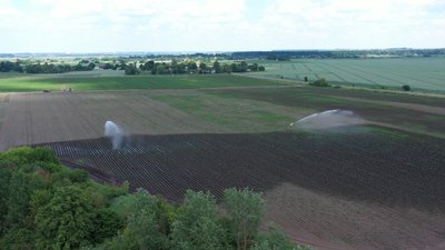 Боротьба за урожай — що прогнозує керівниця агропідприємства на Рівненщині