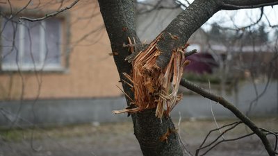 "Уламки виколупували з дивана”. Як під обстрілами виживають мешканці Ворожби "Уламки виколупували з дивана”. Як під обстрілами виживають мешканці Ворожби